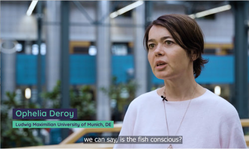 Final Interview with Ophelia Deroy