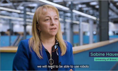Final ﻿Interview with Sabine Hauert