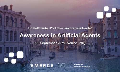 Workshop Awareness in Artificial Agents