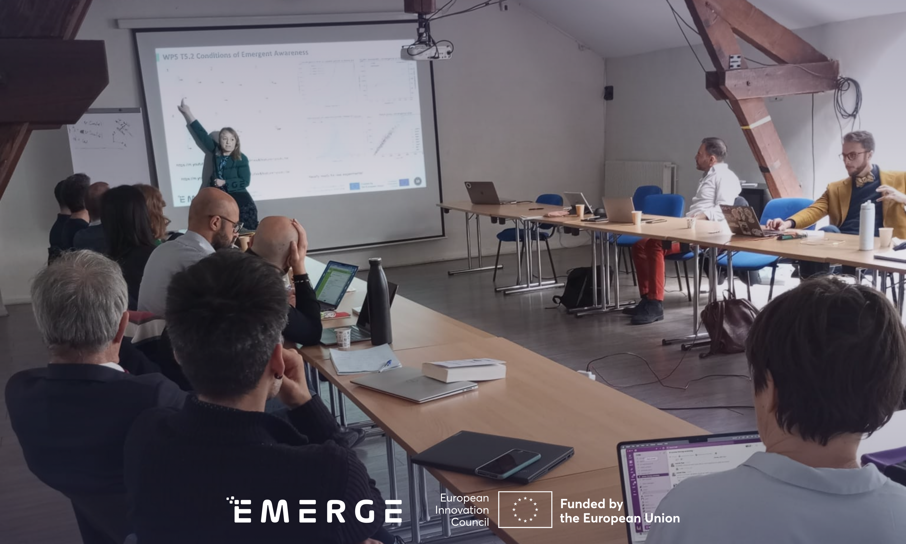 EMERGE partners get together in Paris